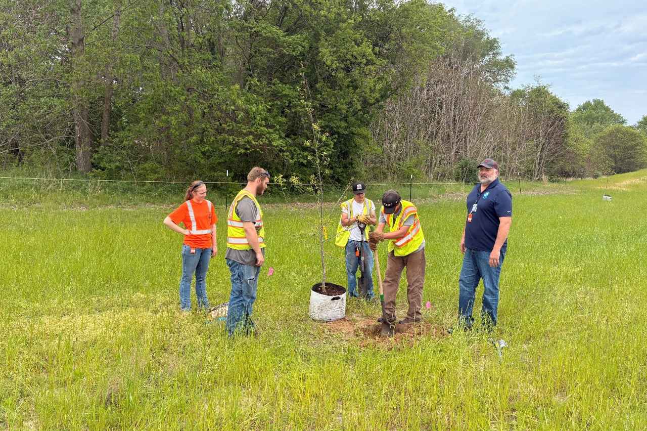 画像: Paul Vicari (right), MS4 Director and CountyConservationist with the LaPorte County Soil and Water Conservation District,working with the planting crew to establish native oak species, with annual rye performing as intended as a nursery crop to support early growth and site stabilization.