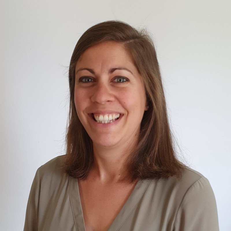 画像: バブルカーテンが導く、クラゲとエネルギー供給の共存