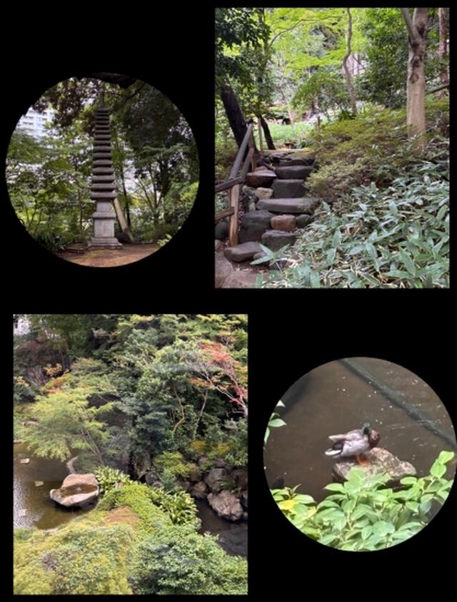 画像2: 和の心