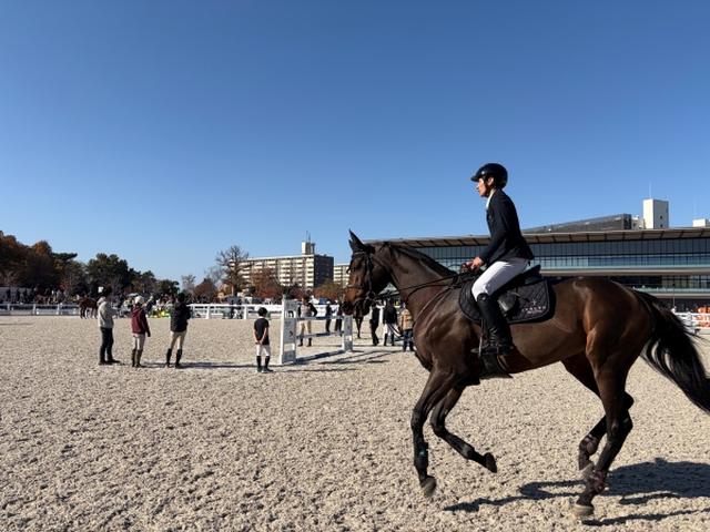 画像2: 乗馬 & Sports Car