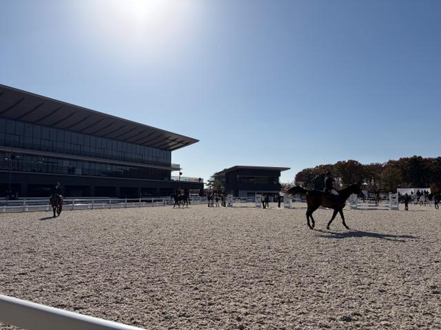 画像3: 乗馬 & Sports Car