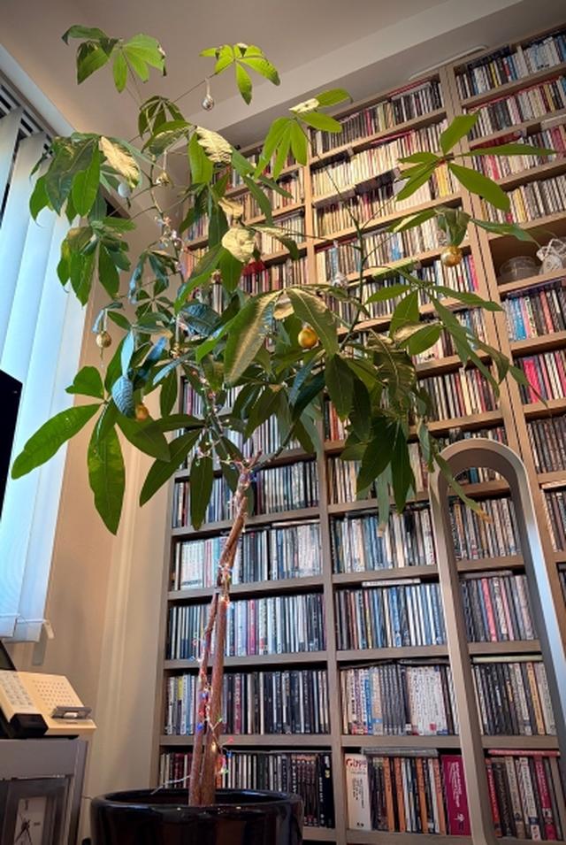 画像2: Merry Christmas♪