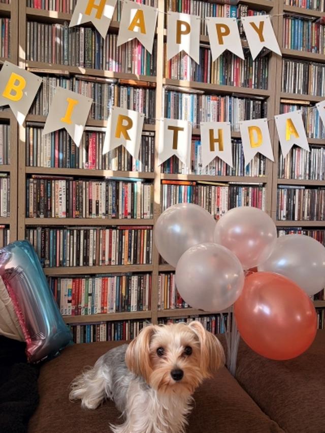 画像2: Happy Birthday♪