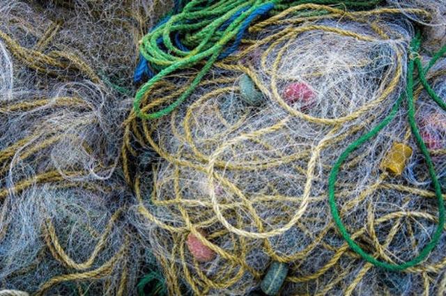 画像: 海に囲まれたこの国だからこそ、“みんなの海”を守るという選択を