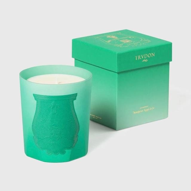 画像: 「トゥルドン」2025年限定コレクション『Lost in a Moment』Under the Trees 19,800円(270g)【阪急うめだ本店限定・限定20】