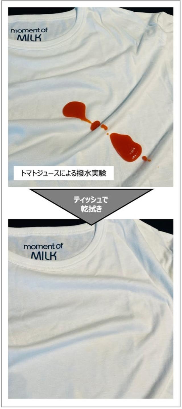 画像: 北海道産の脱脂粉乳から抽出したカゼインと高濃度パルプ由来のレーヨンを混合
