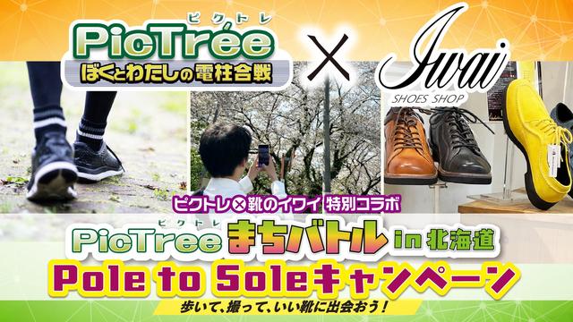 画像1: 参加型社会貢献ゲーム「PicTrée(ピクトレ)」と札幌老舗靴屋が協業 街歩き×シューズ販促