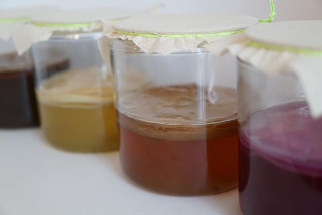 画像1: コンブチャとは?