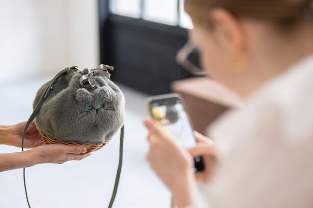 画像: ミネットシリーズのかわいさを存分にアピールくださる方を大募集!