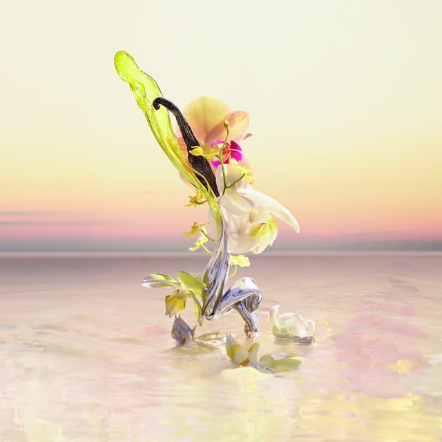 画像1: 「ファンタスマゴリー」 – 新たな1日を照らすバニラ