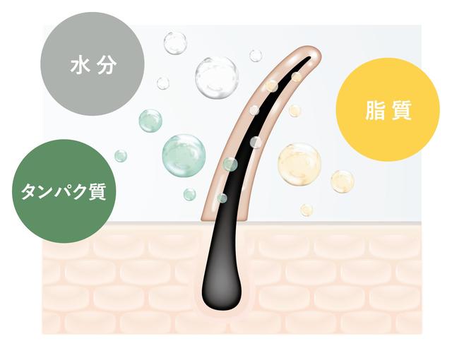 画像3: 商品特長