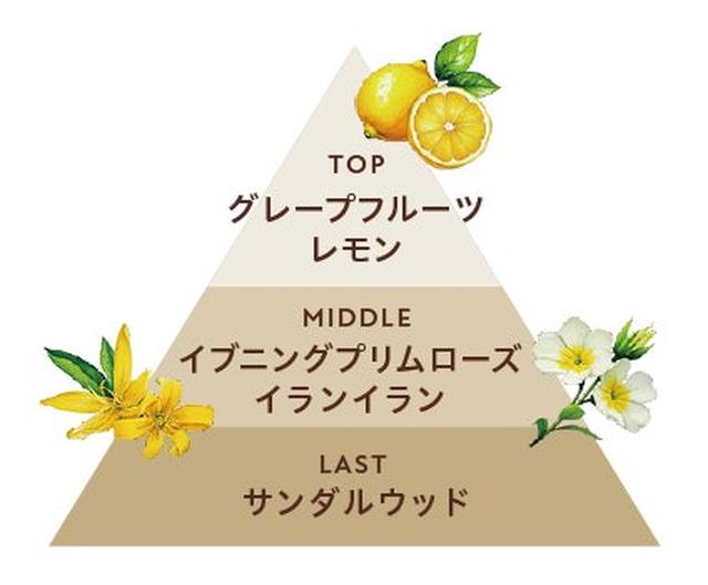 画像1: 商品特長