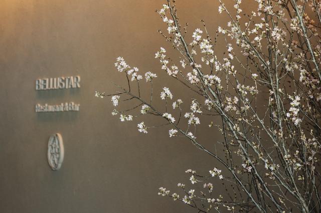 画像: 2025年の装飾イメージ