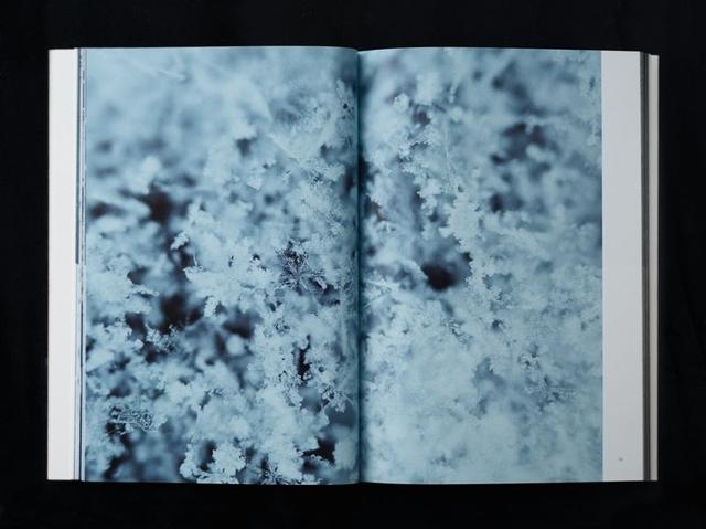 画像3: パーパスを起点に人と自然の可能性をひろげる書籍を厳選