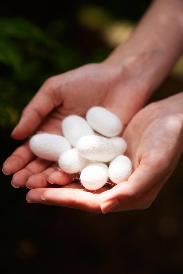 画像2: デザインに合わせてセレクトされた地紋の異なるシルク生地