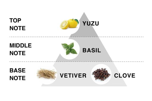 画像1: FRAGRANCE NOTE