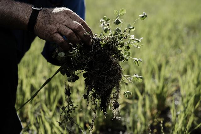 画像3: 提供：ウールマーク