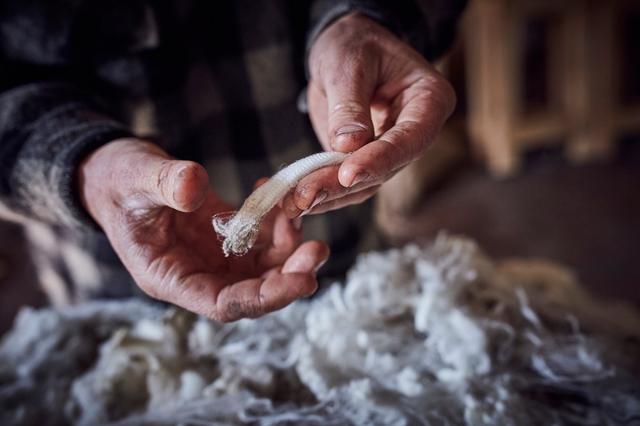 画像1: 提供：ウールマーク