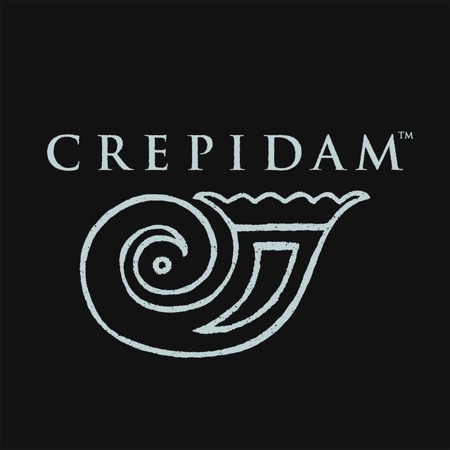 画像: 担当者コメント