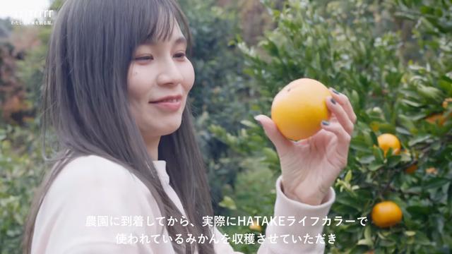 画像: 丸茂農園さん取材時の様子。