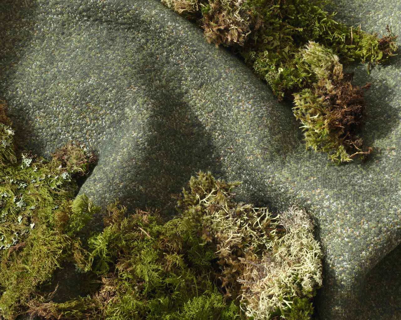 画像1: KARIMOKU RESEARCH CENTER　特別モデルの展示