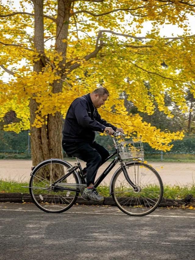 画像4: 見どころポイント