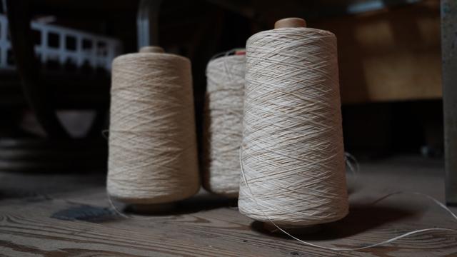 画像: 紙布の糸