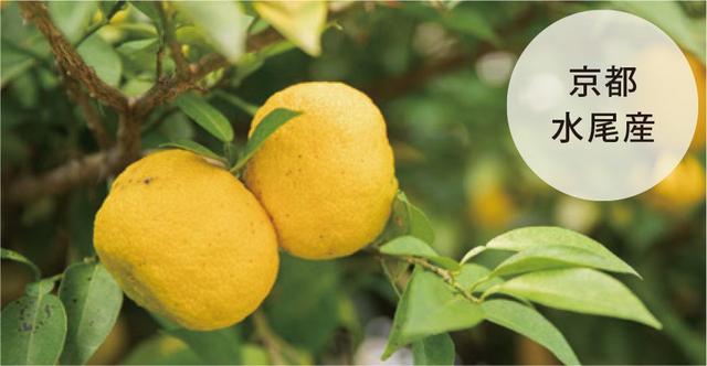 画像1: 主要成分