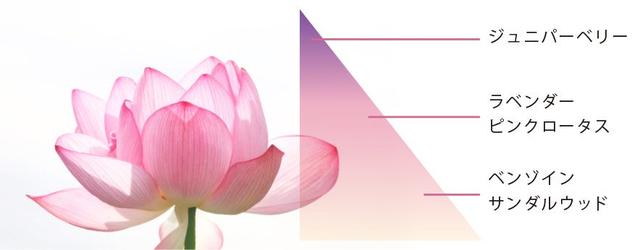 画像: hitohaの香り – 独自精油・心やすらぐ「ピンクロータスブレンド」