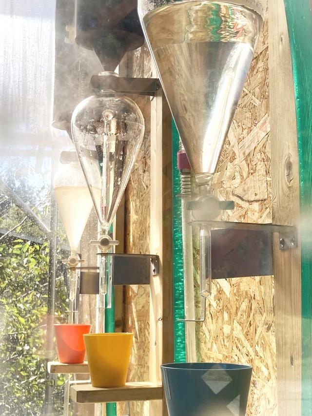 画像2: 1. 京都の自然が育んだ「美しさの源泉」を独自抽出