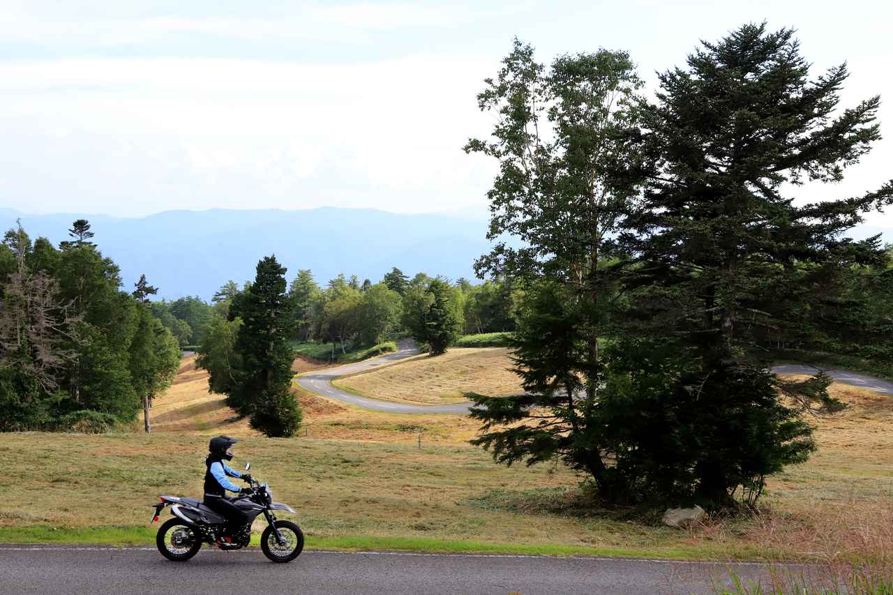 画像1: 車検不要で燃費もよくて経済的