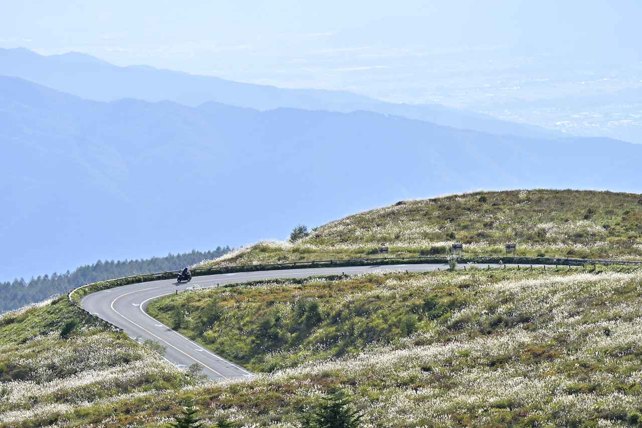 画像4: ベストシーズンの信州ビーナスライン