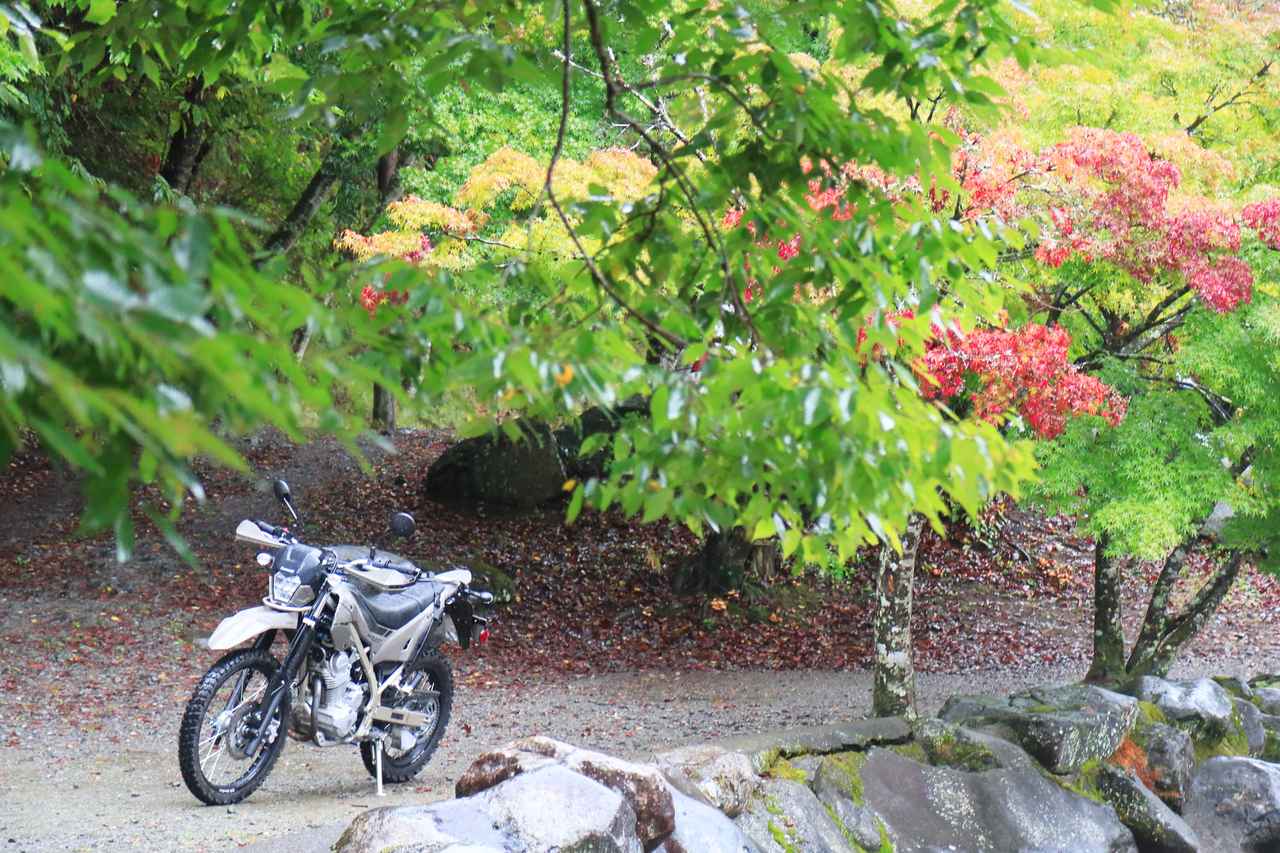 画像1: 道志みちを経てダートのキャンプ場へ