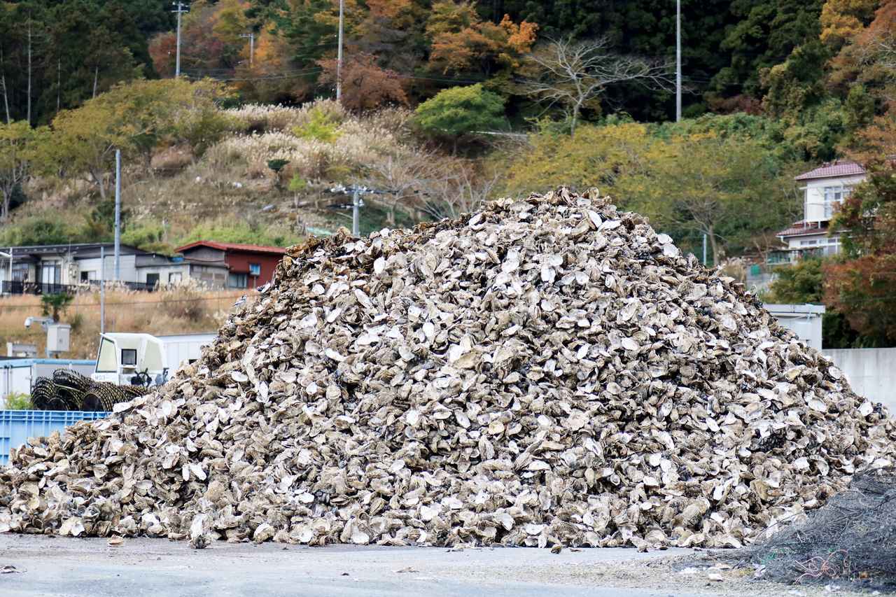 画像2: ▲桃浦漁港