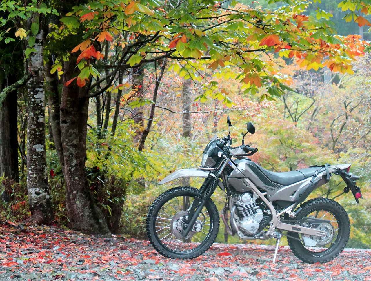 画像: ▶▶▶関連記事 KLX230 SHERPA Sでデイキャンプツーリングをしてみた！【ツーリングレポート】 - Kawasaki Good Times