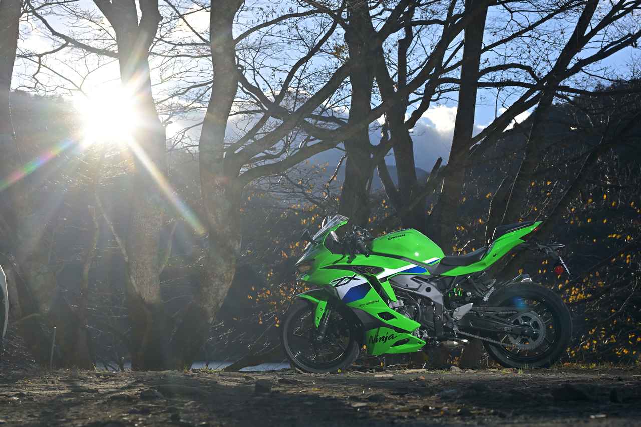 画像3: 道の果てへ