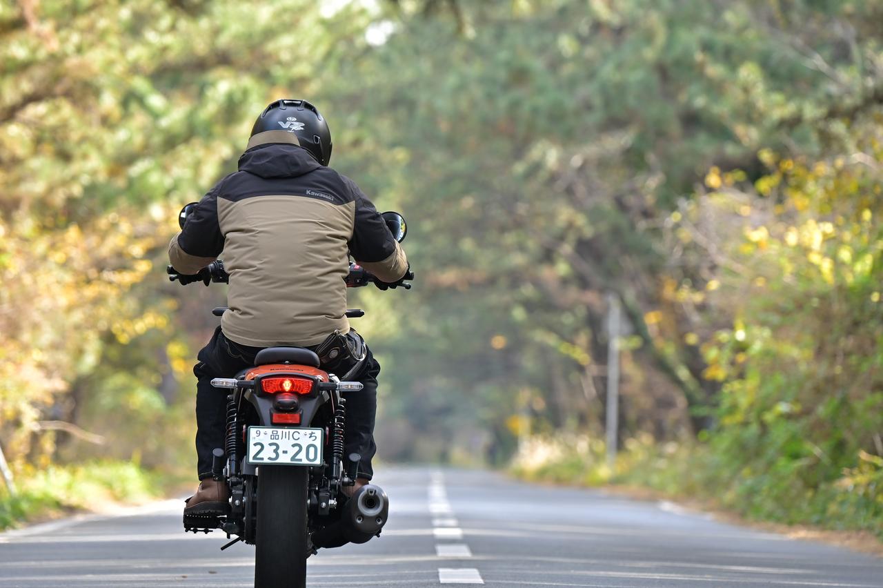 画像: ▲木々のトンネルを抜ける直線路も富津岬の楽しみ。トレーニングのメッカとしても有名なようで、この日も走り込みに勤しむ選手たちとたびたびすれ違った。