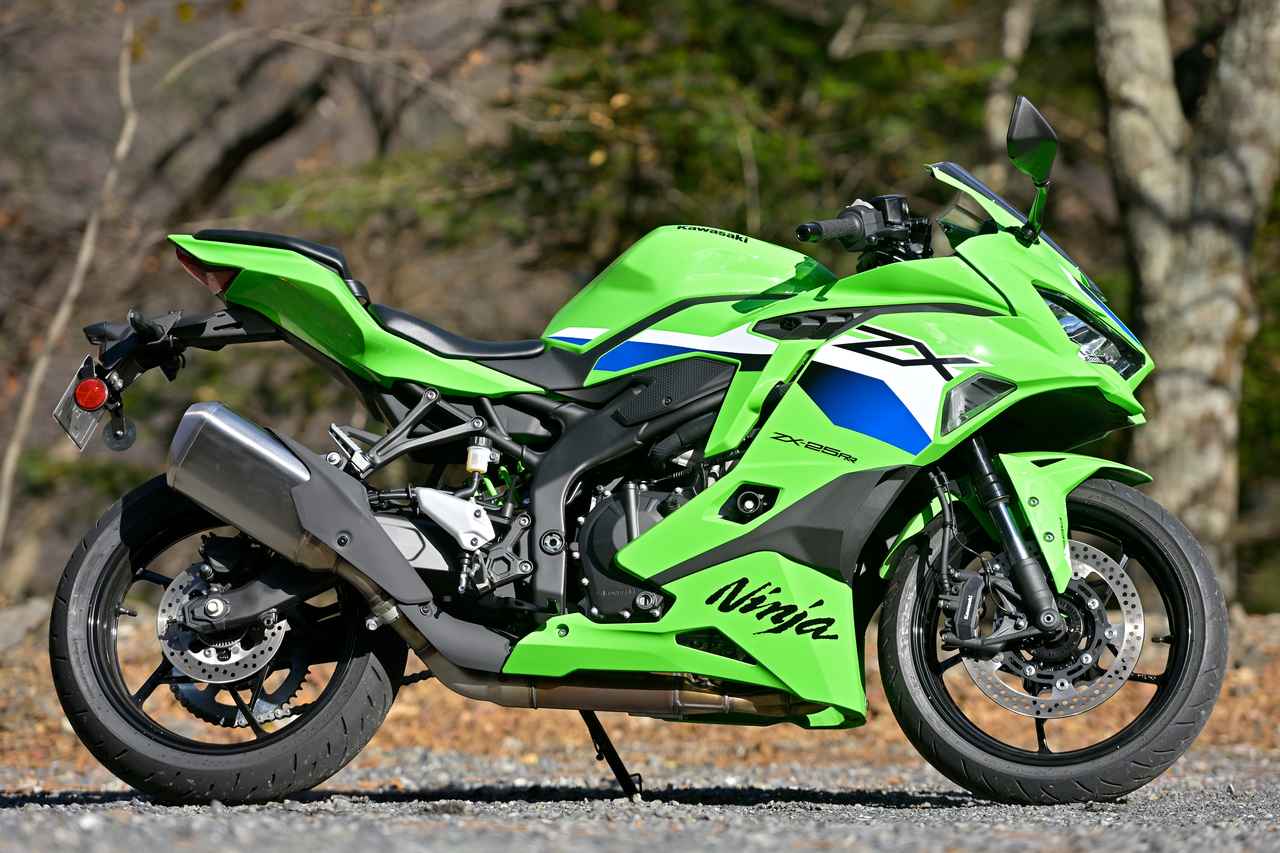 画像2: これぞNinjaなスタイリング