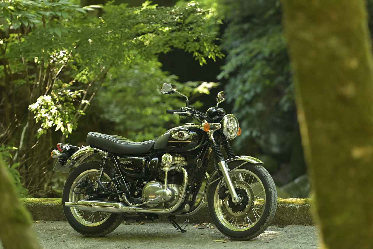 画像: 3. 前ボケを取り入れる