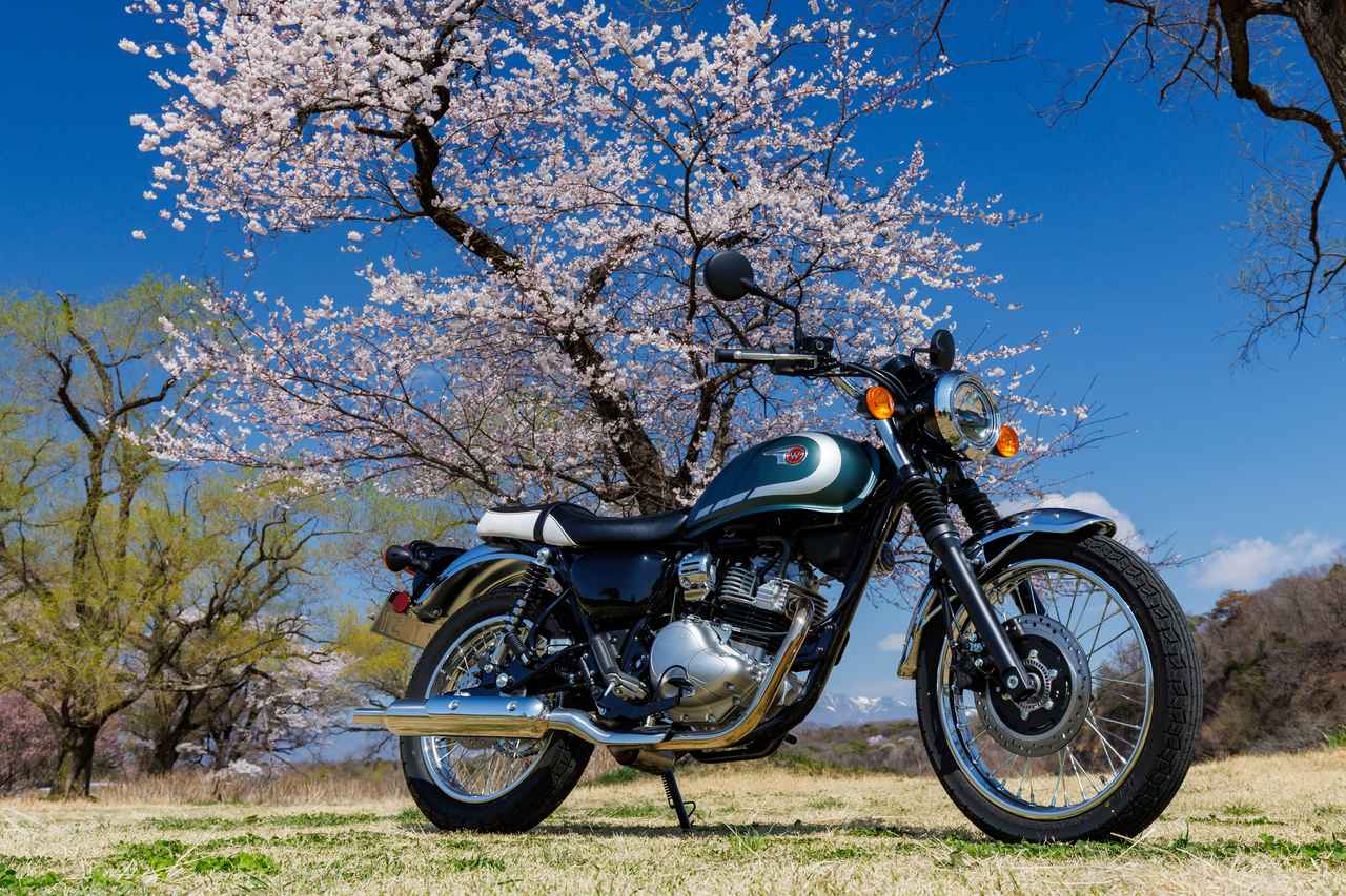 画像: Kawasaki W230 2026年モデル 総排気量：232cc エンジン形式：空冷4ストロークSOHC2バルブ単気筒 シート高：745mm 車両重量：143kg 発売日：2025年9月15日 税込価格：66万5500円