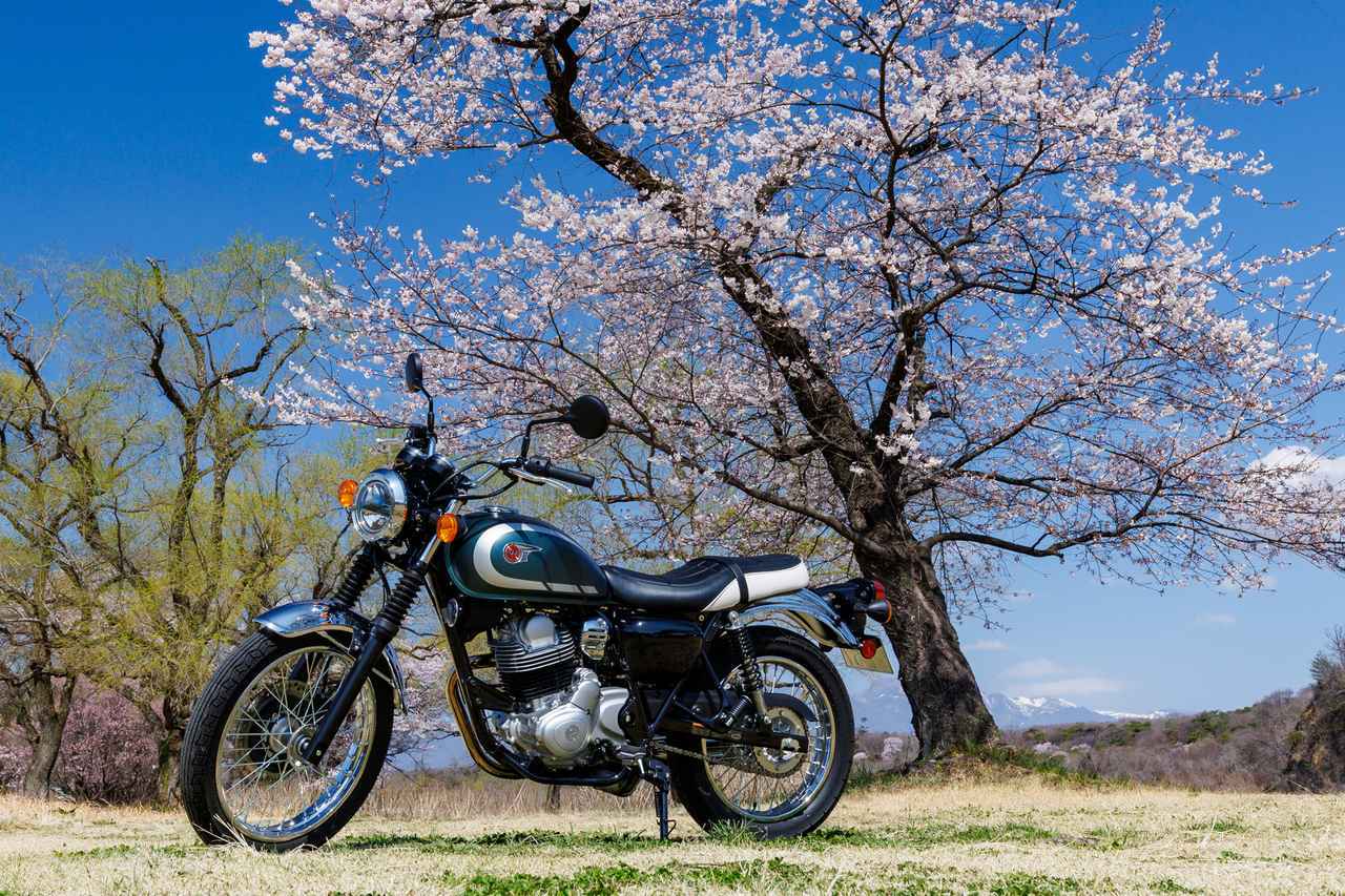画像1: バイクの排気量・区分一覧