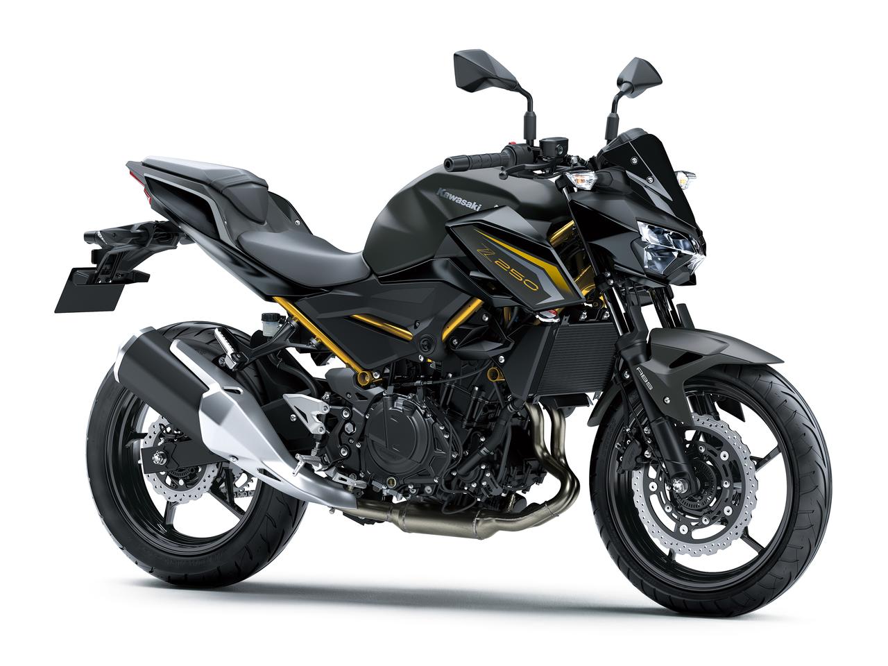 画像: Kawasaki Z250 2027年モデル 総排気量：248㎤ エンジン形式：水冷4ストローク並列2気筒/DOHC 4バルブ シート高：795mm 車両重量：164kg カラー：メタリックマットグラフェンスチールグレー×メタリックフラットスパークブラック メーカー希望小売価格：704,000円（本体価格640,000円/消費税64,000円）