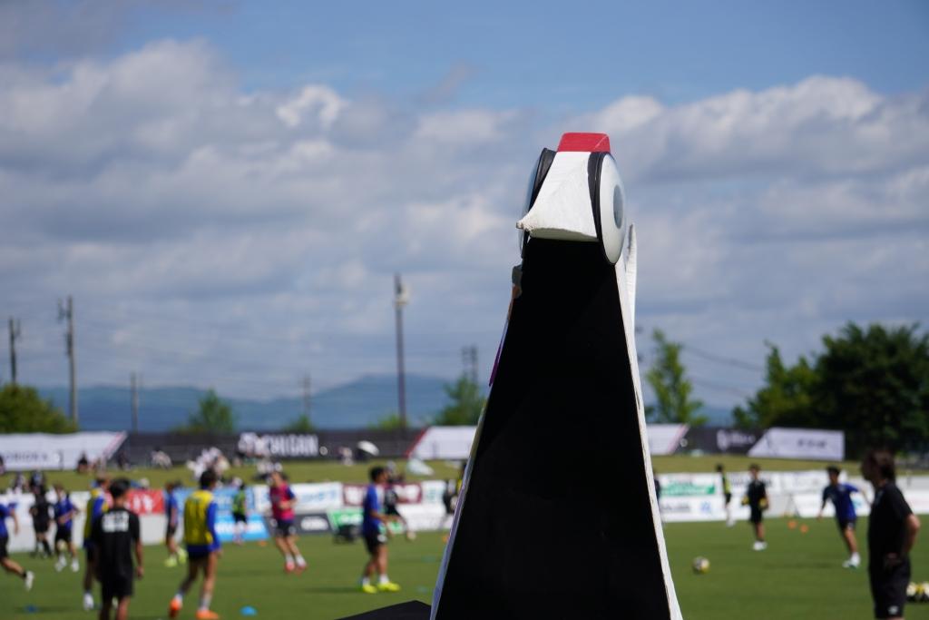 画像: 近くで見ると