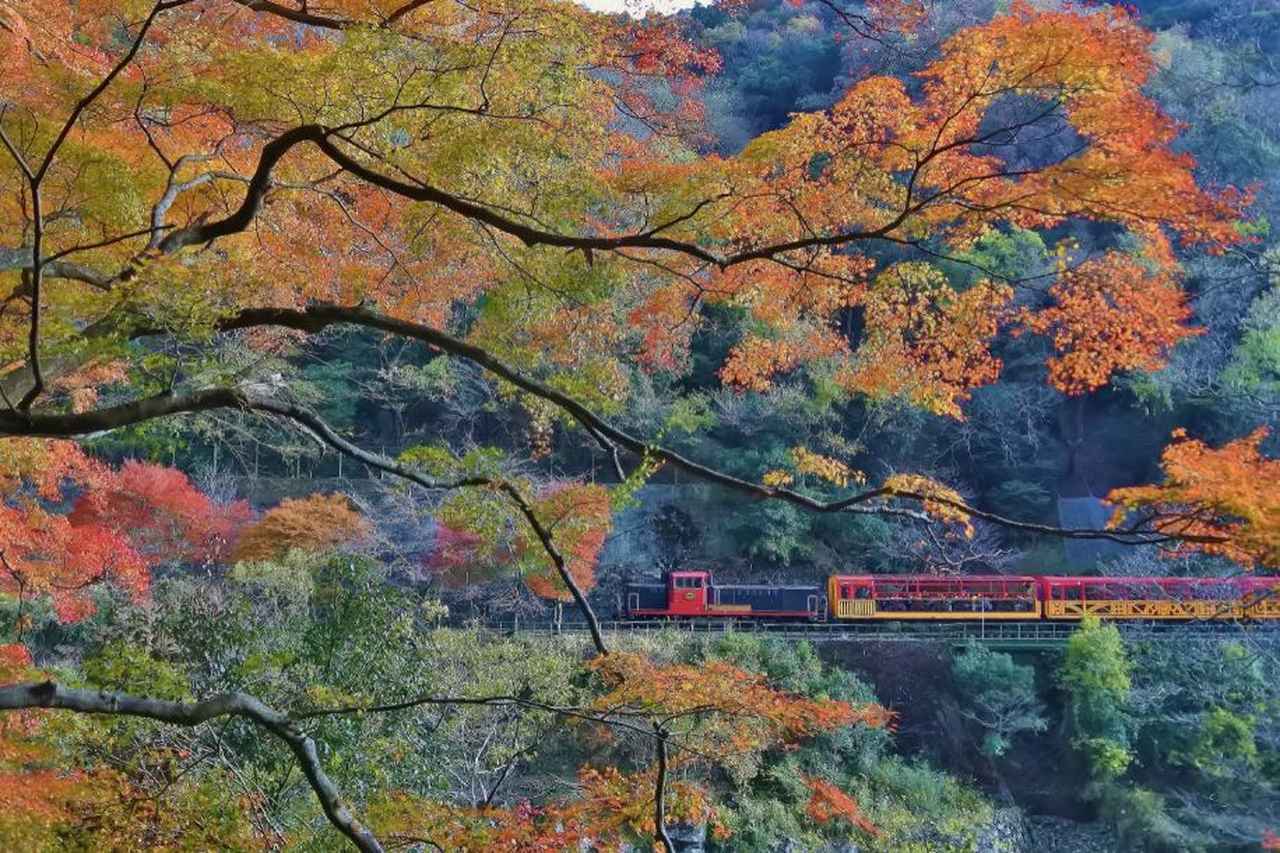 画像: 嵯峨野観光鉄道