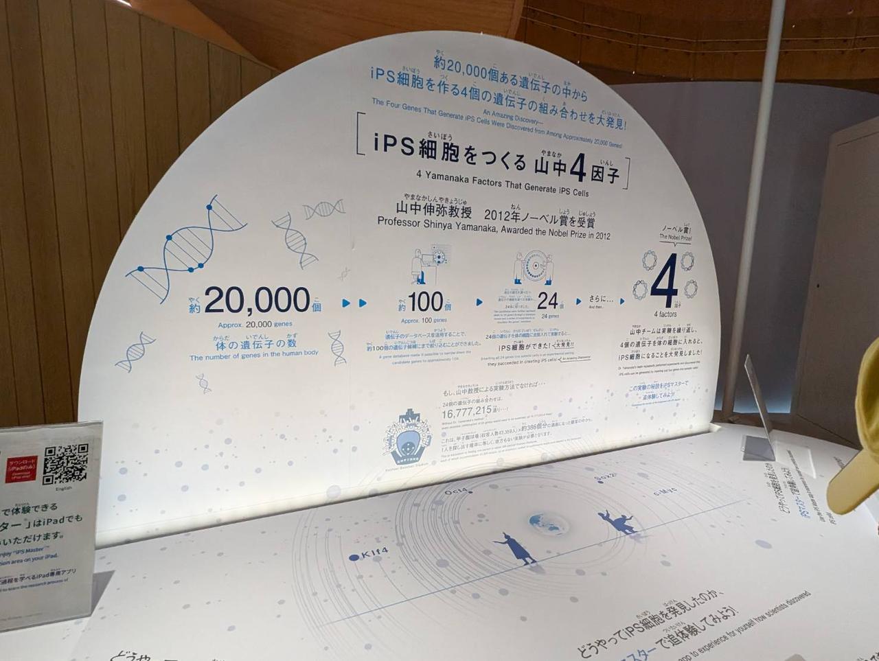画像1: iPS細胞が秘める再生医療の可能性