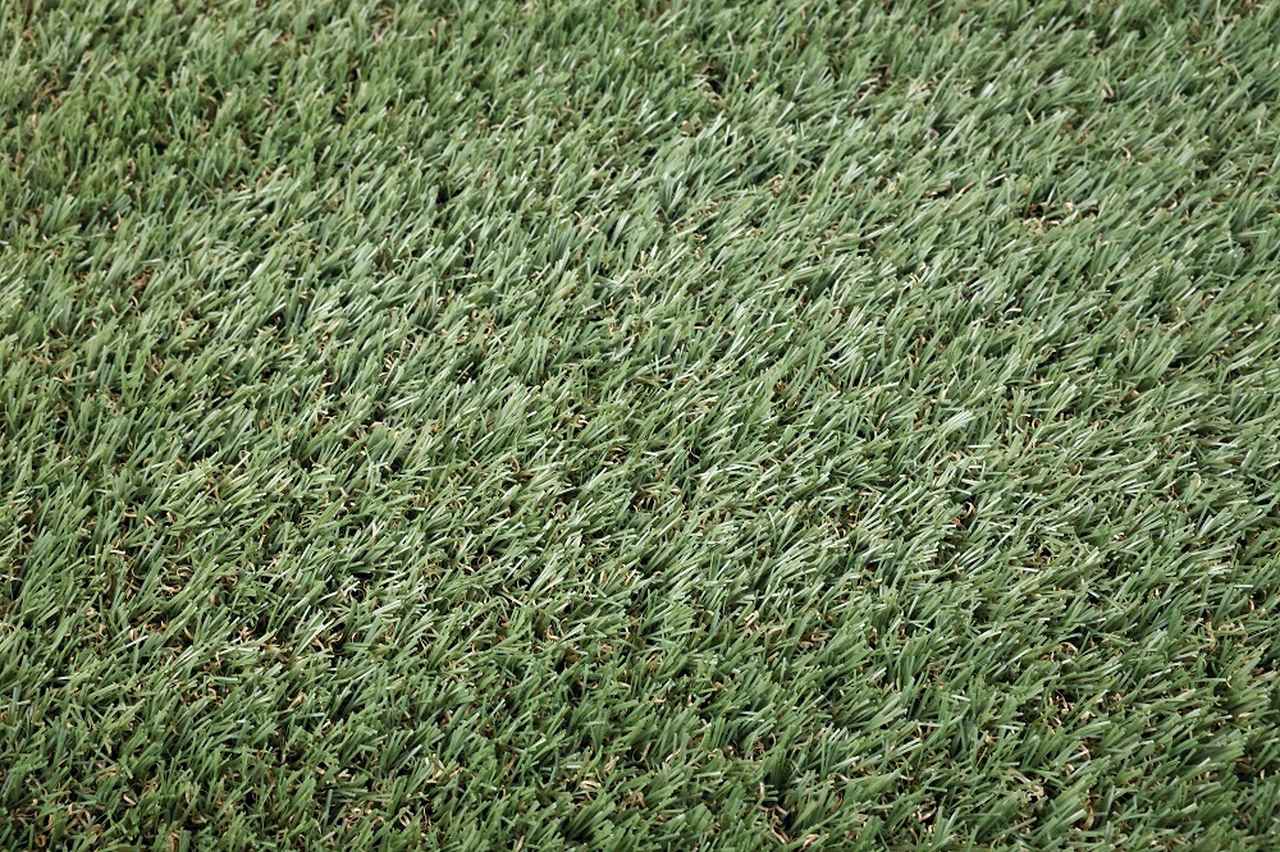 画像2: 自然界で分解する“生分解性人工芝”、「バンテリンドーム」が世界初採用！ミズノとカネカが共同開発