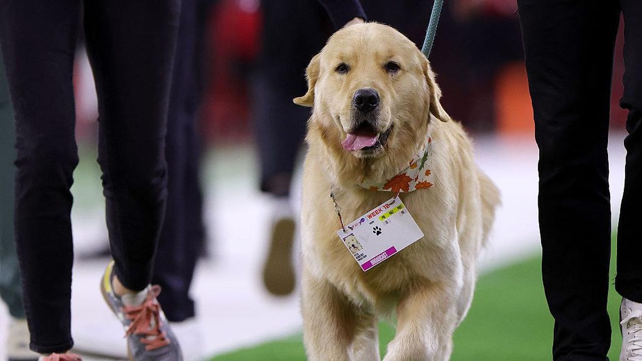 画像: 「あまりにも奇妙な怪我」で離脱した5名の選手 - Qoly-Sports＆the Style