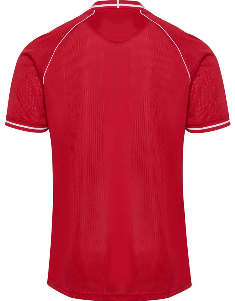 画像2: Denmark 2026 hummel Home