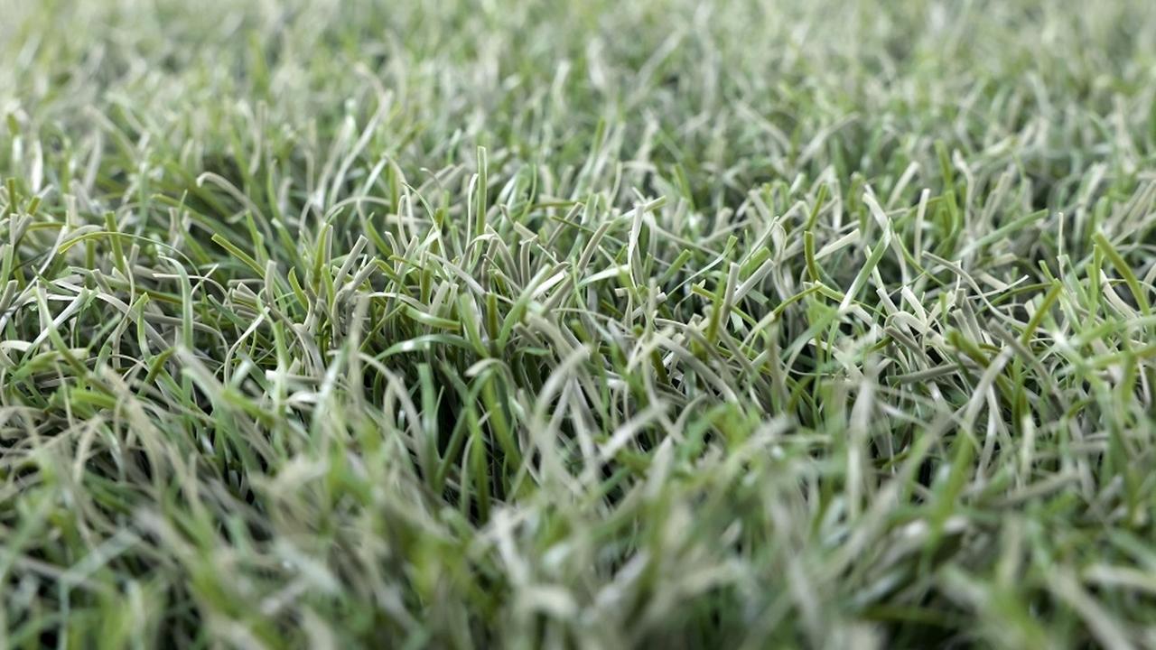 画像: 自然界で分解する“生分解性人工芝”、「バンテリンドーム」が世界初採用！ミズノとカネカが共同開発 - Qoly-Sports＆the Style