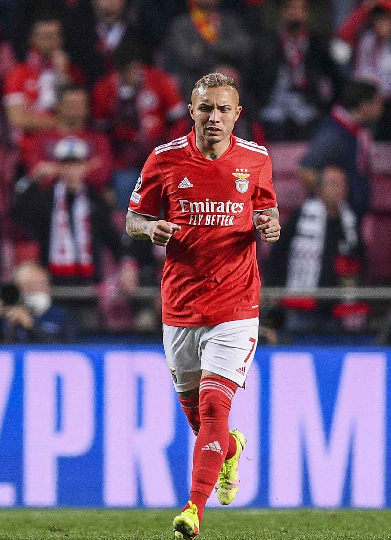 画像5: (C)Getty Image